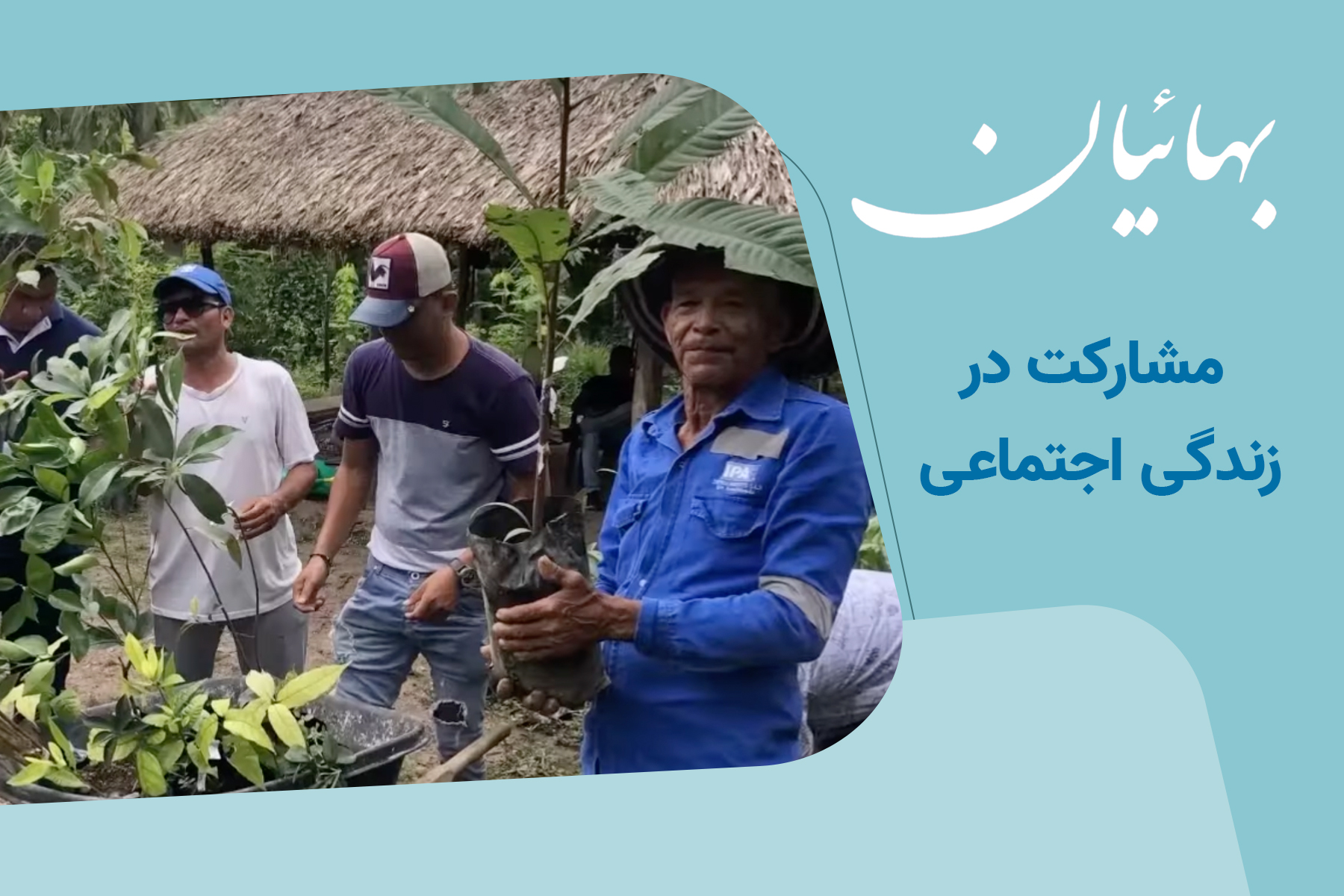 مشارکت در زندگی اجتماعی