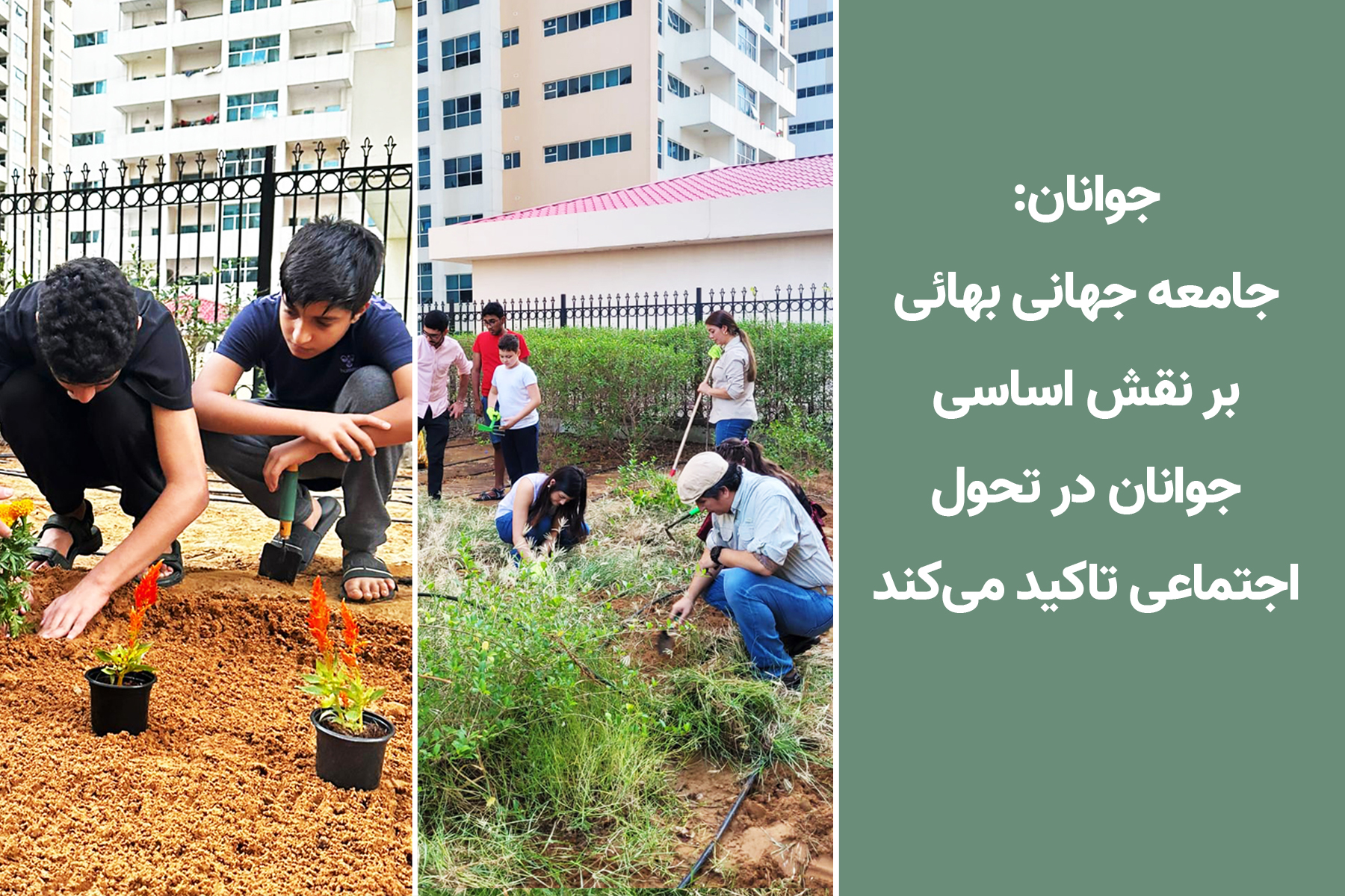 امارات متحده عربی جوانان باغچه