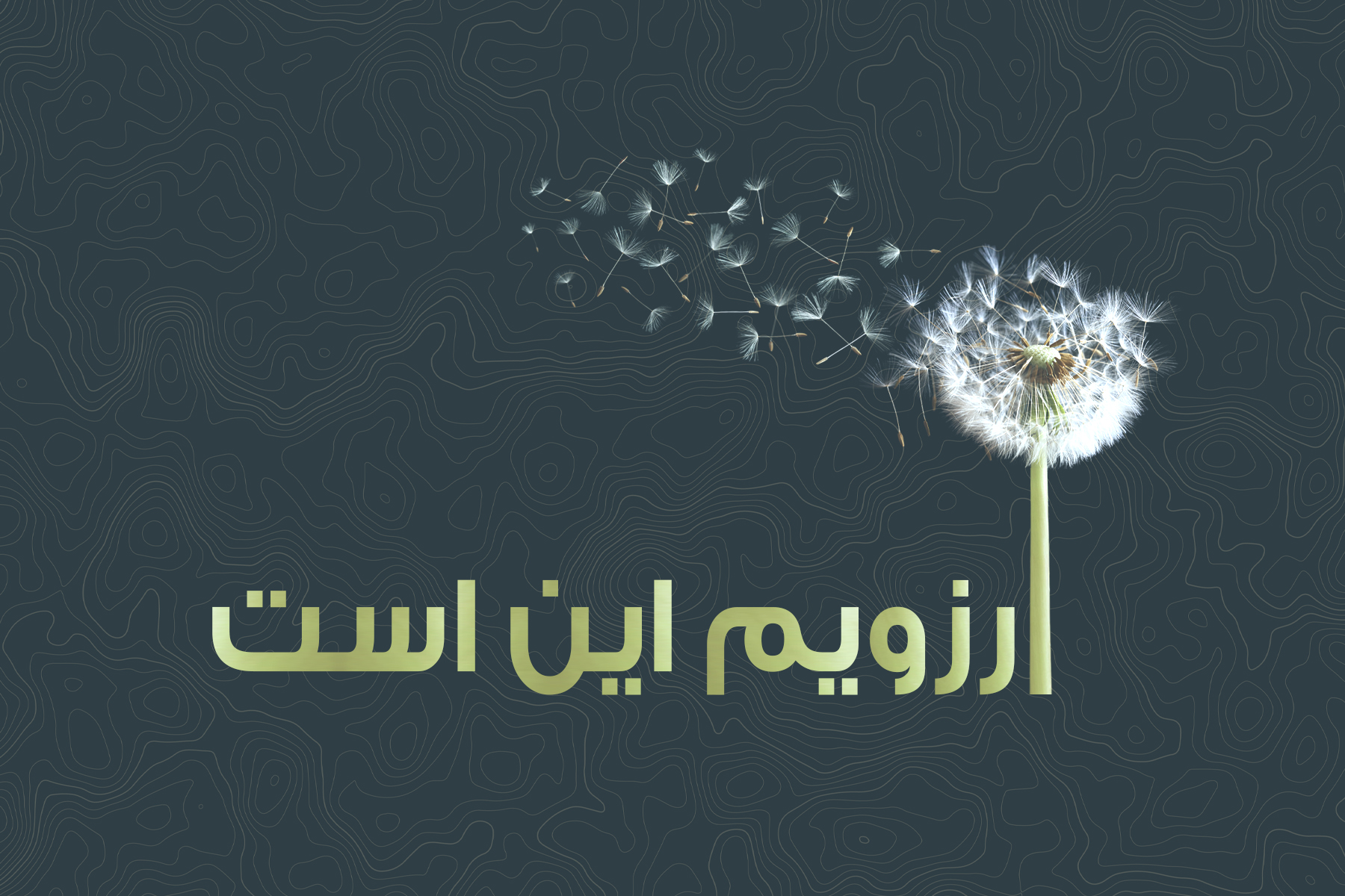 آرزویم این است