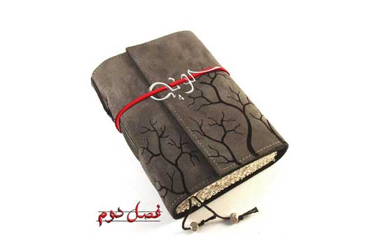 شهاب قبلا حسین را دیده است