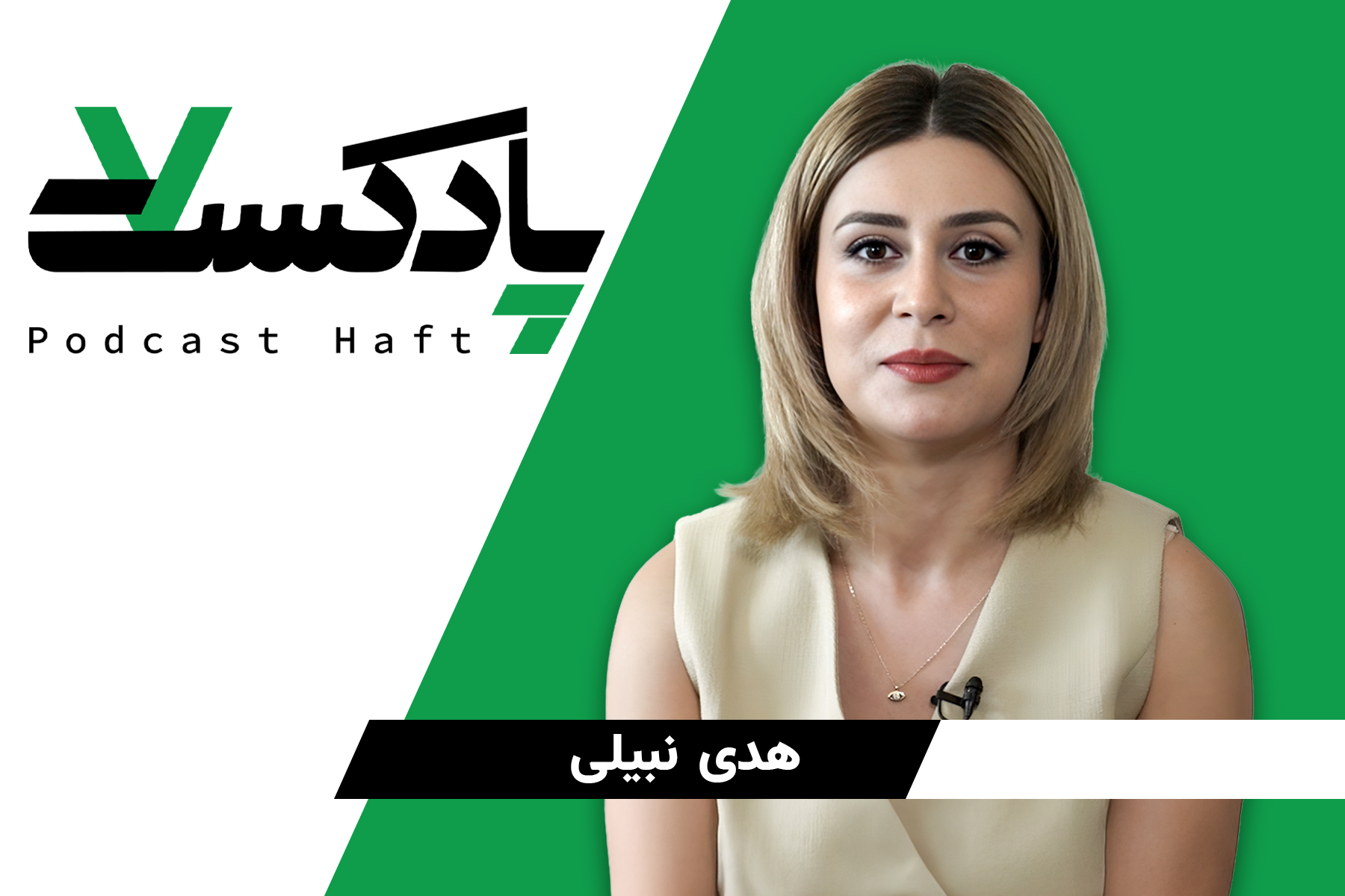 خشونت خانگی هدی نبیلی