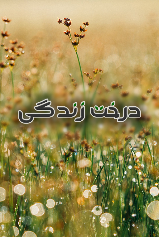 درخت زندگی