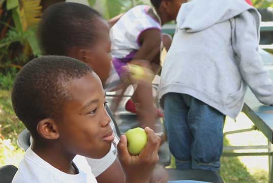 ناندی - بخش 2