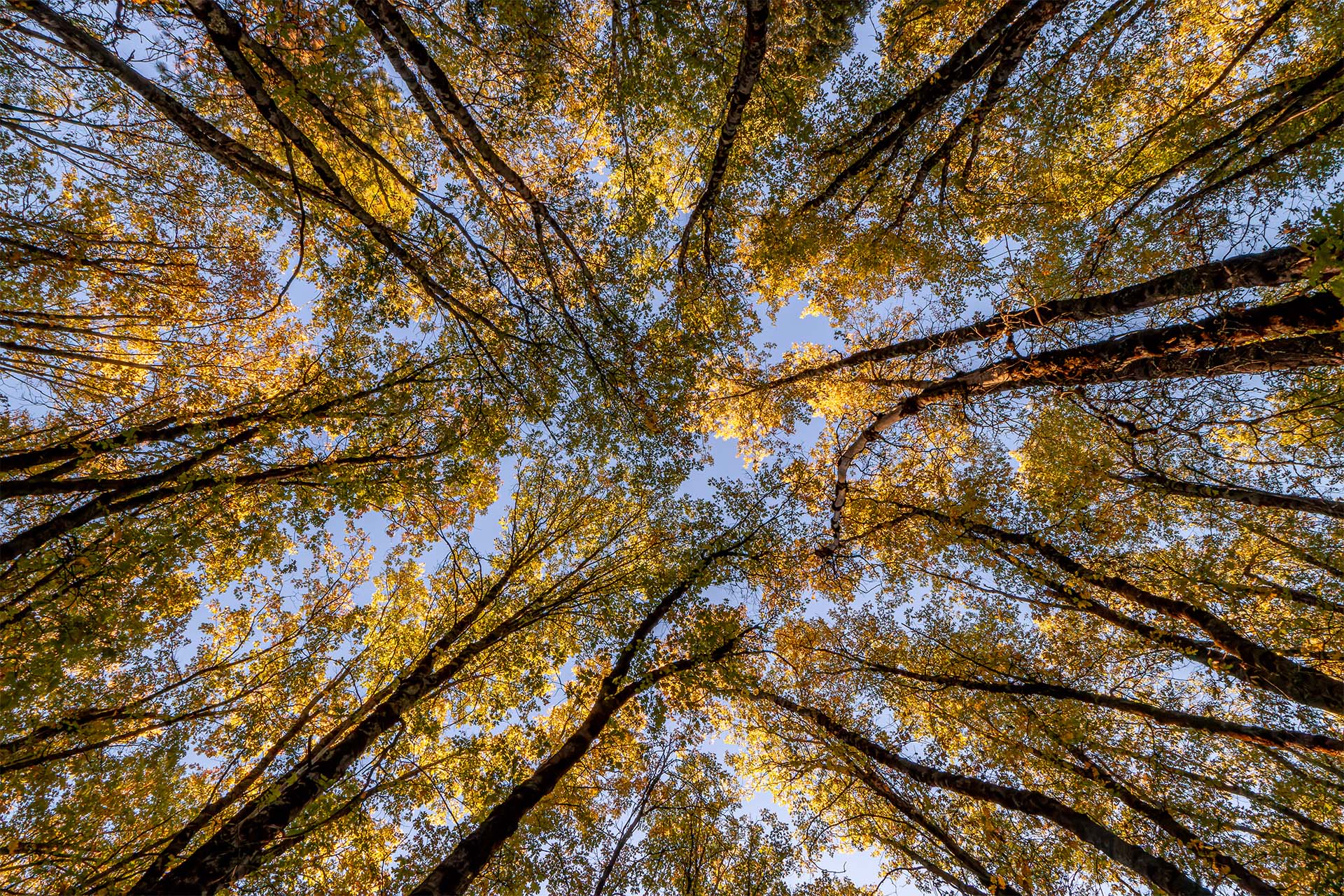 روزه در آئین بهائی