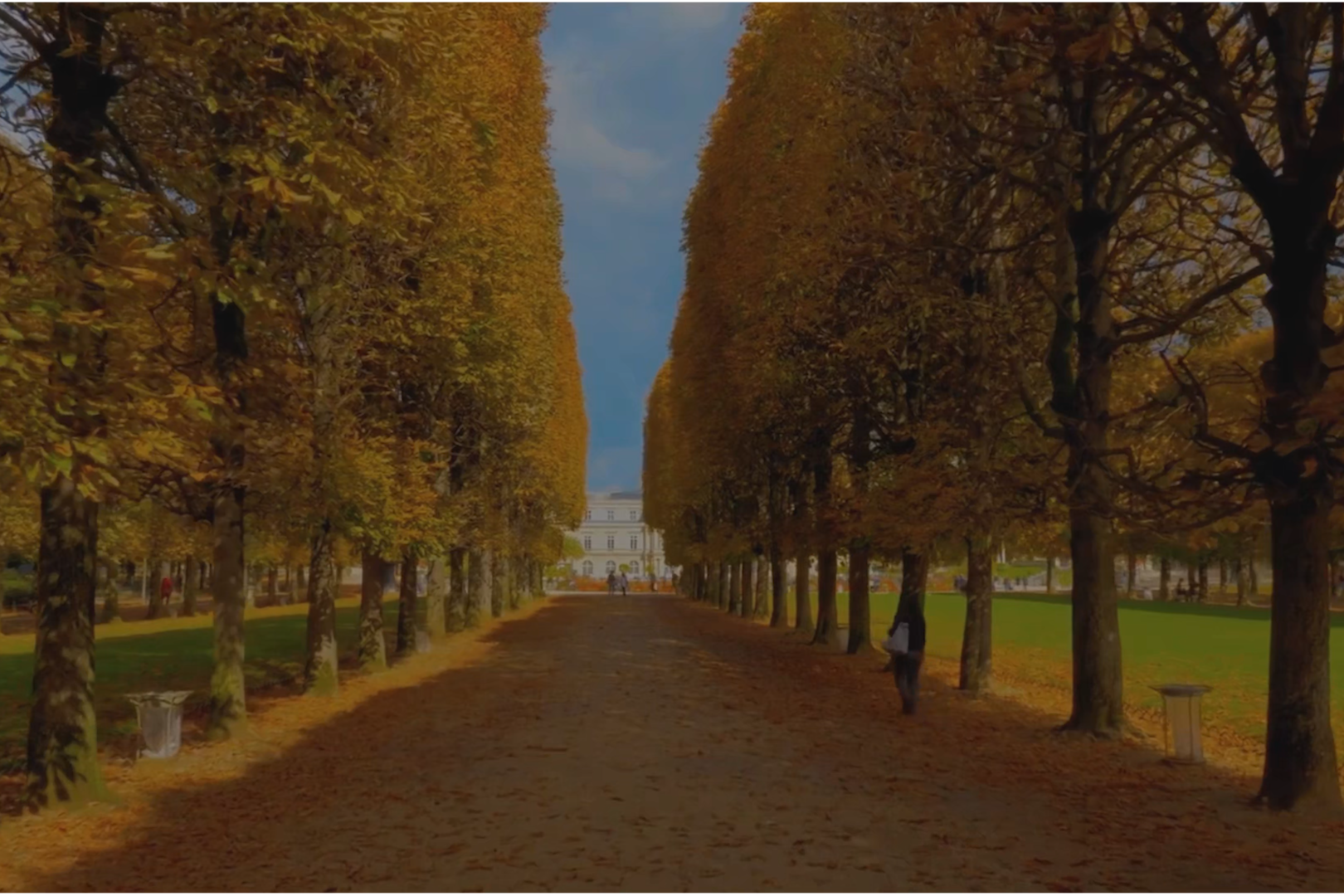 دیدگاه برخی از رهبران سیاسی از جمله روزولت