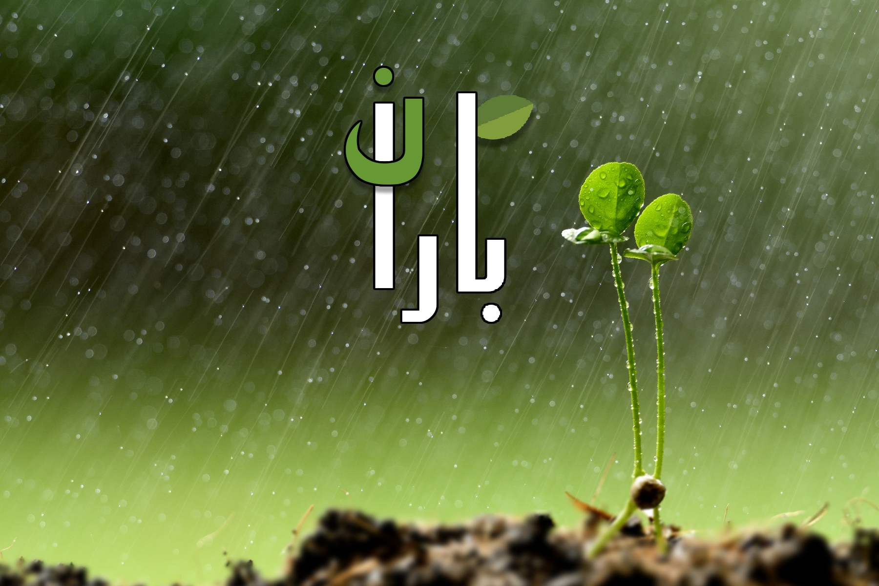 خدایا مرا کجا نوشته‌ای؟