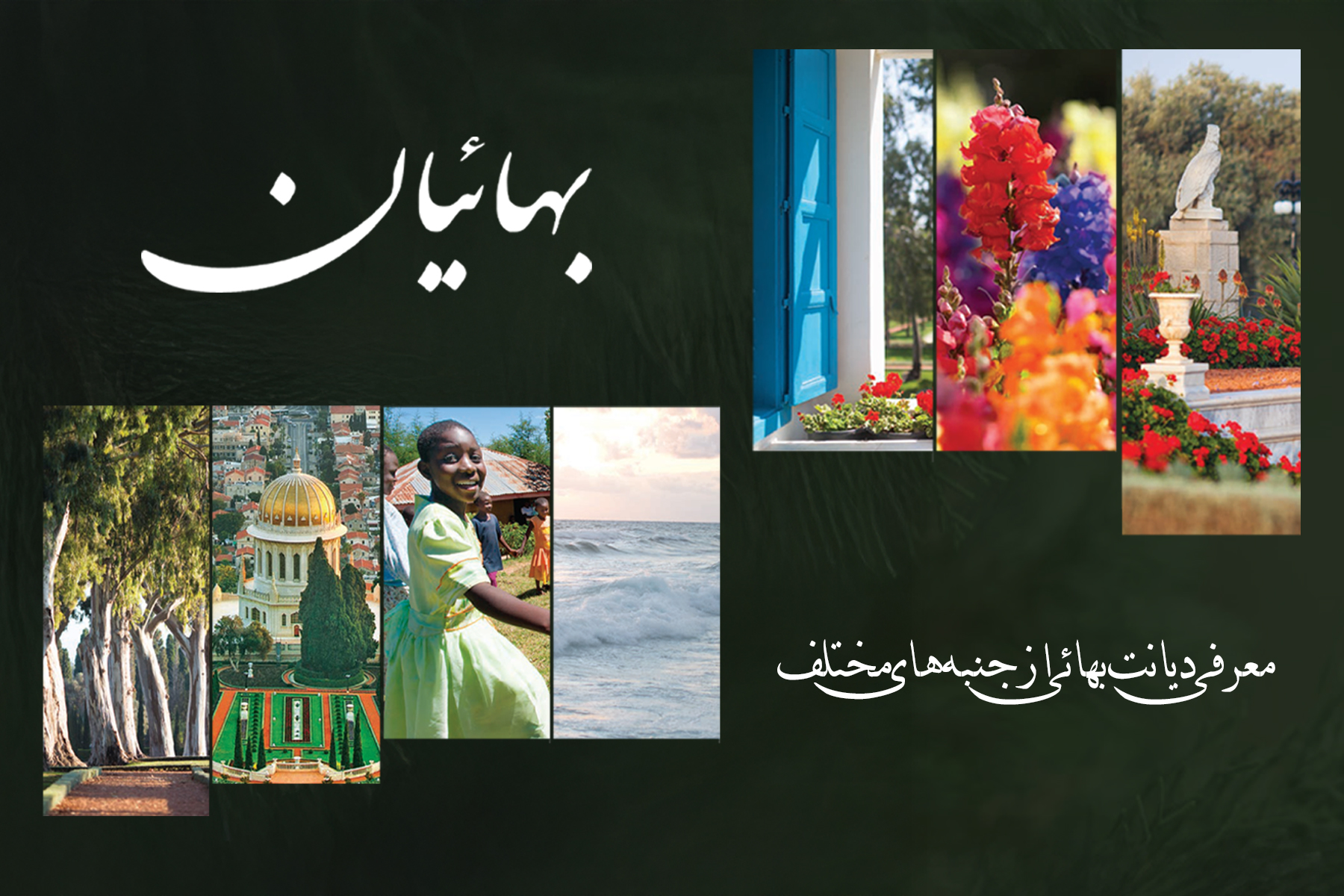 بهائیان