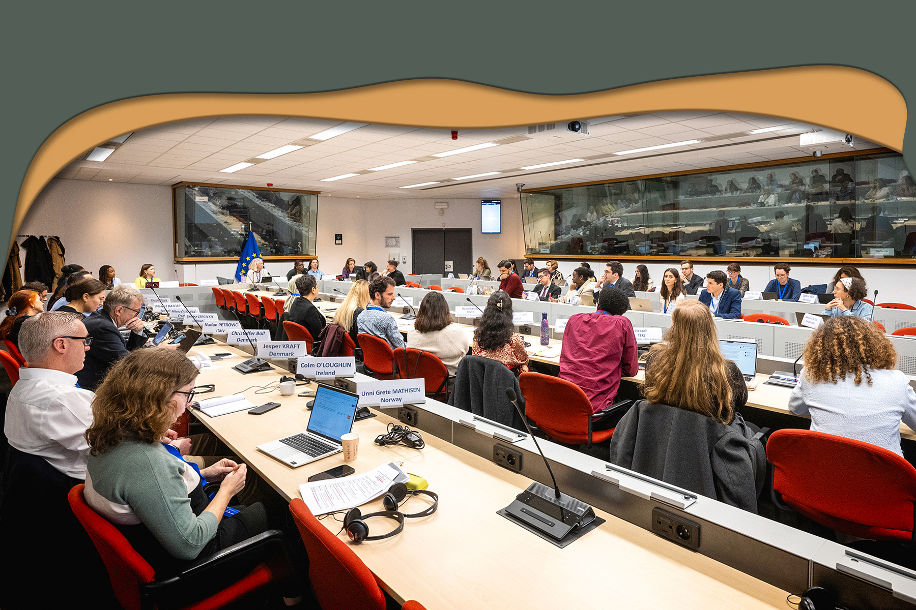 جوانان کنشگران هماهنگی نژادی