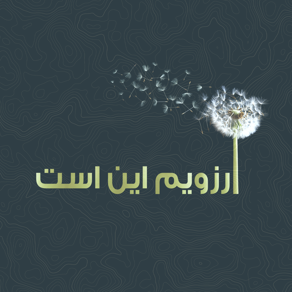 آرزویم این است
