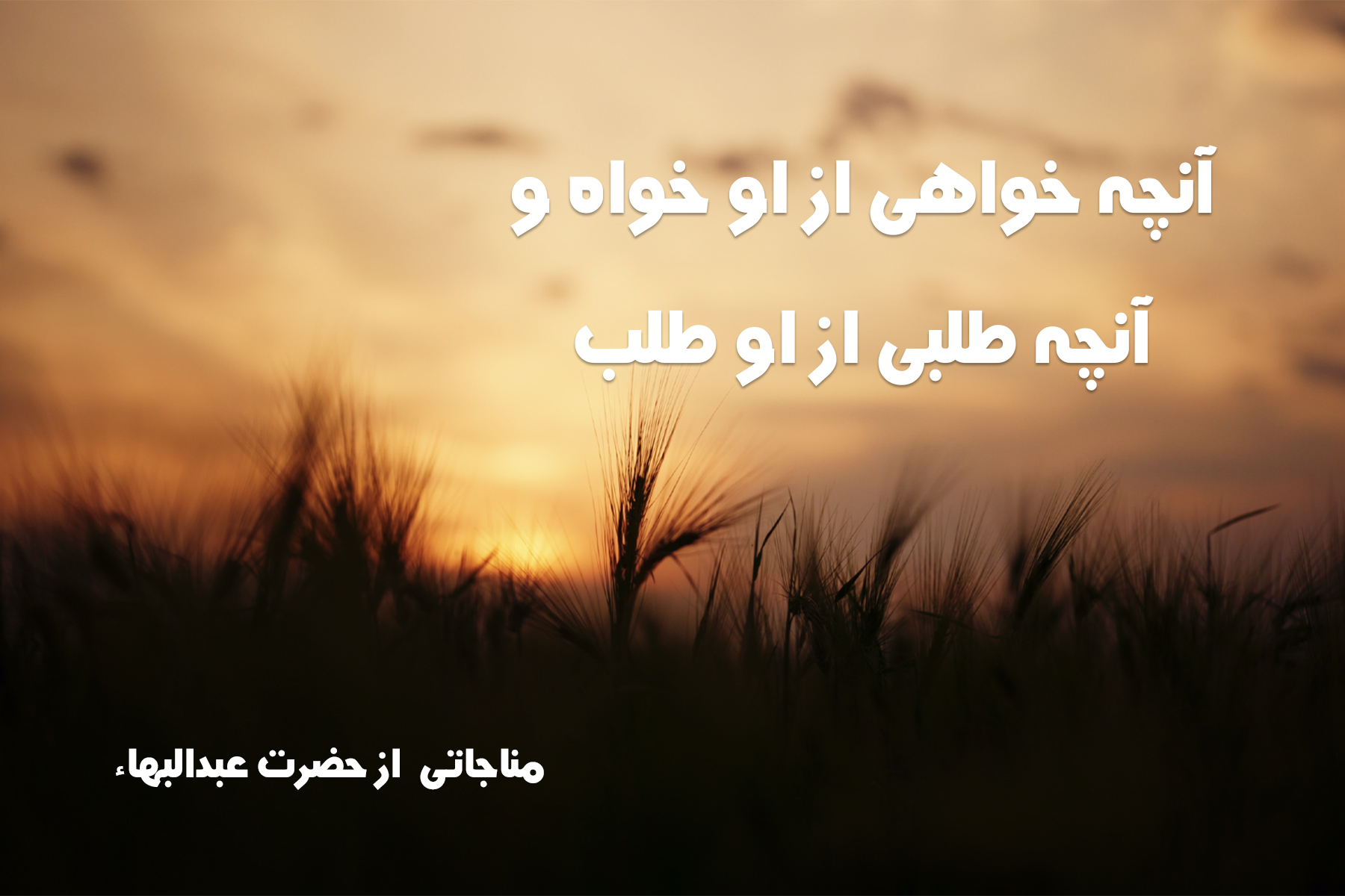 آنچه خواهی از او خواه